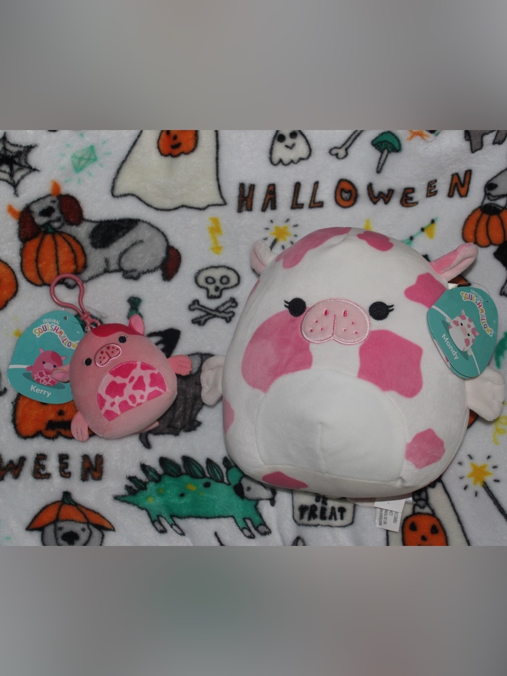 Squishmallow bundle Mondy 5 inch and Kerry clip